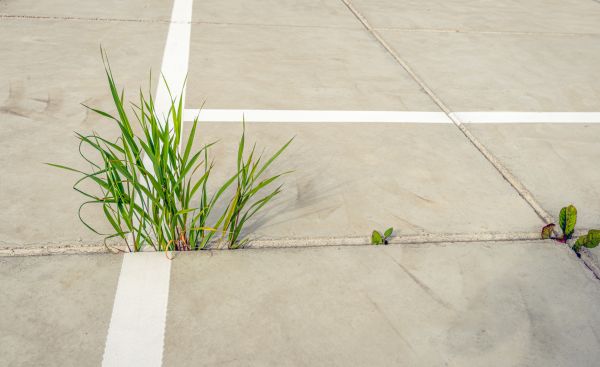 Concrete Parking Installation in Kennewick